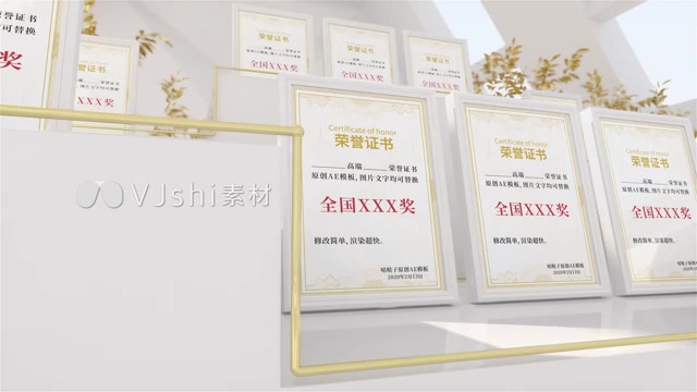 高端荣誉证书奖牌竖版