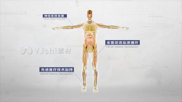 人体身体器官系统说明医学动画