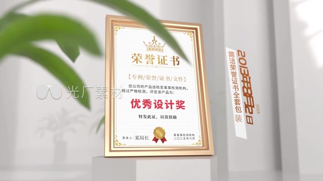 高端大气红绸荣誉证书包装展示模板