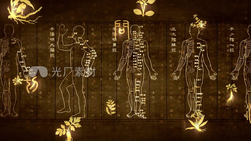 中医针灸十二经络经脉穴位线描模板